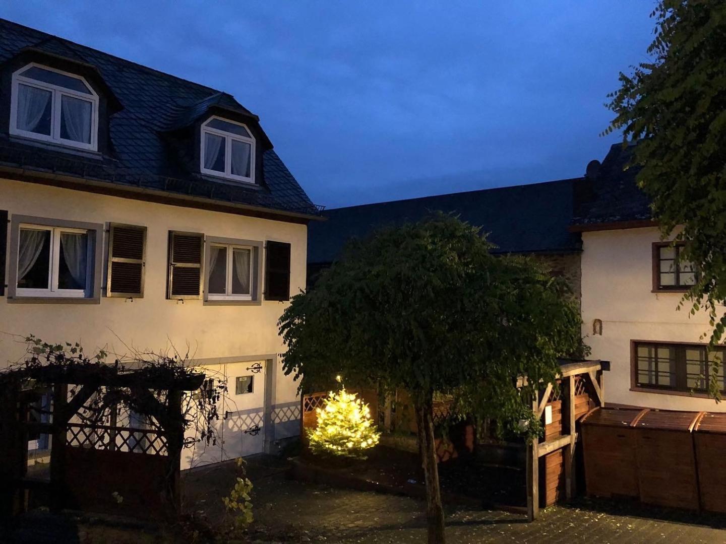 Ferienwohnungen Eifelstuben Mit Charme - Am See, Nahe Burg Ulmen Ngoại thất bức ảnh