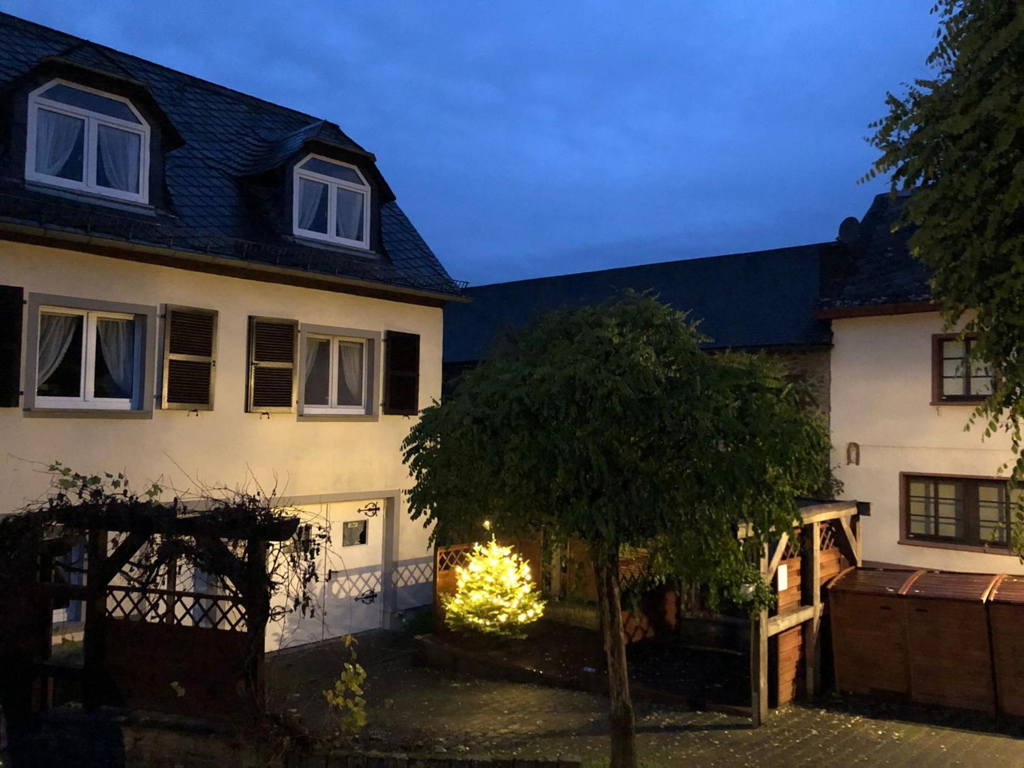 Ferienwohnungen Eifelstuben Mit Charme - Am See, Nahe Burg Ulmen Ngoại thất bức ảnh